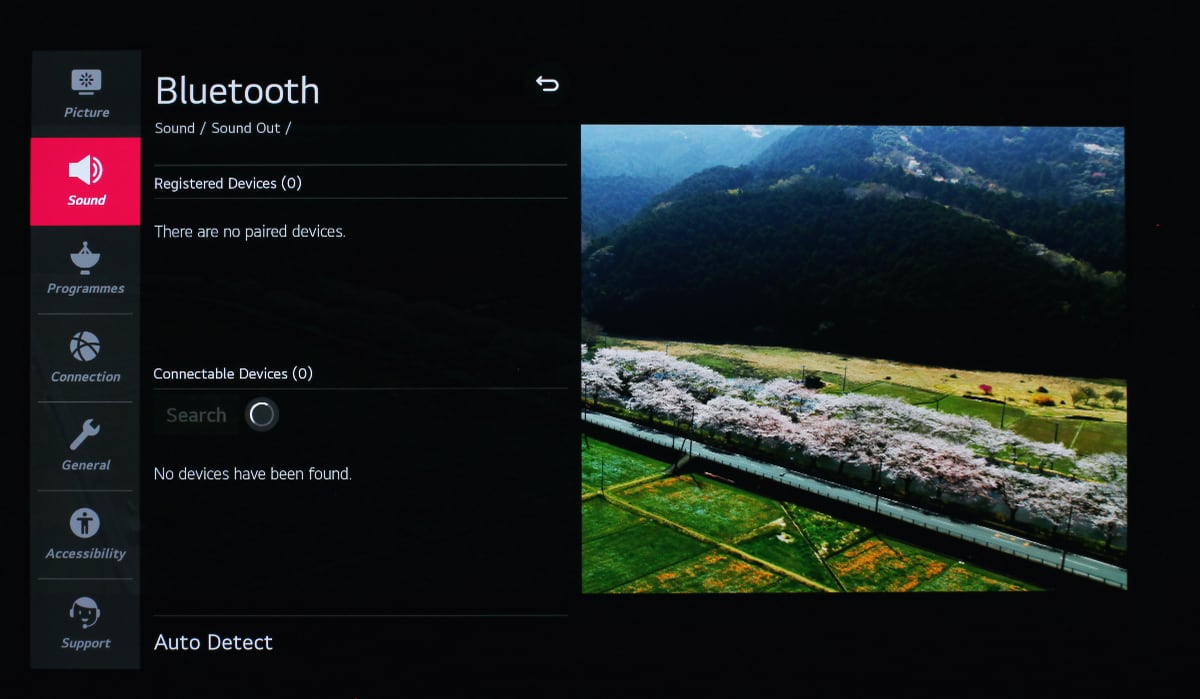 LG CX test