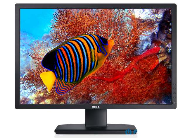 Dell U2412M test