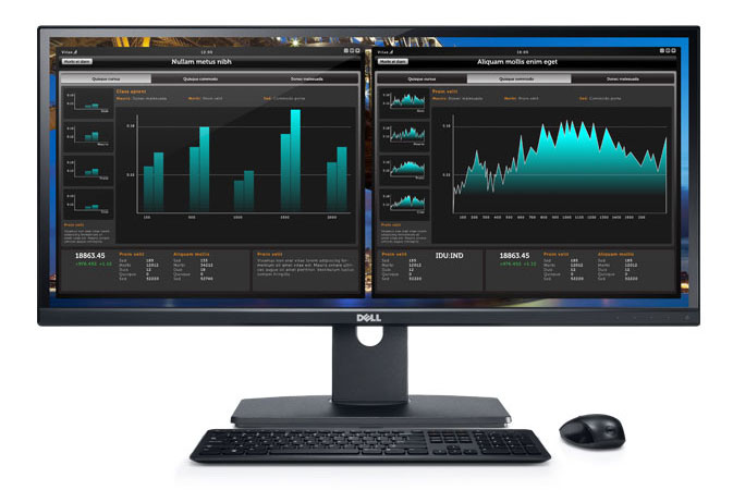 Dell U2913WM