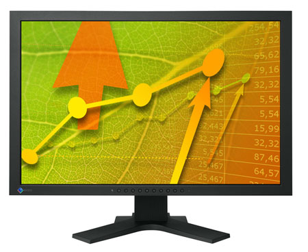 Eizo EV2411W