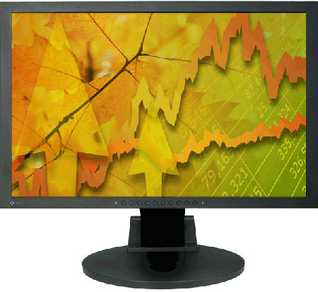 Eizo S2232