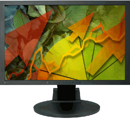 Eizo S2242