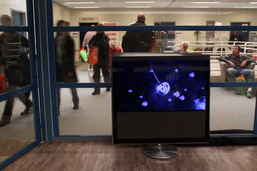 Klik for større billede B&O BeoVision 10