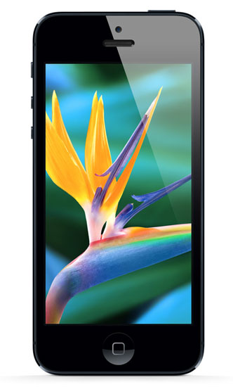 Klik for større billede Apple iPhone 5