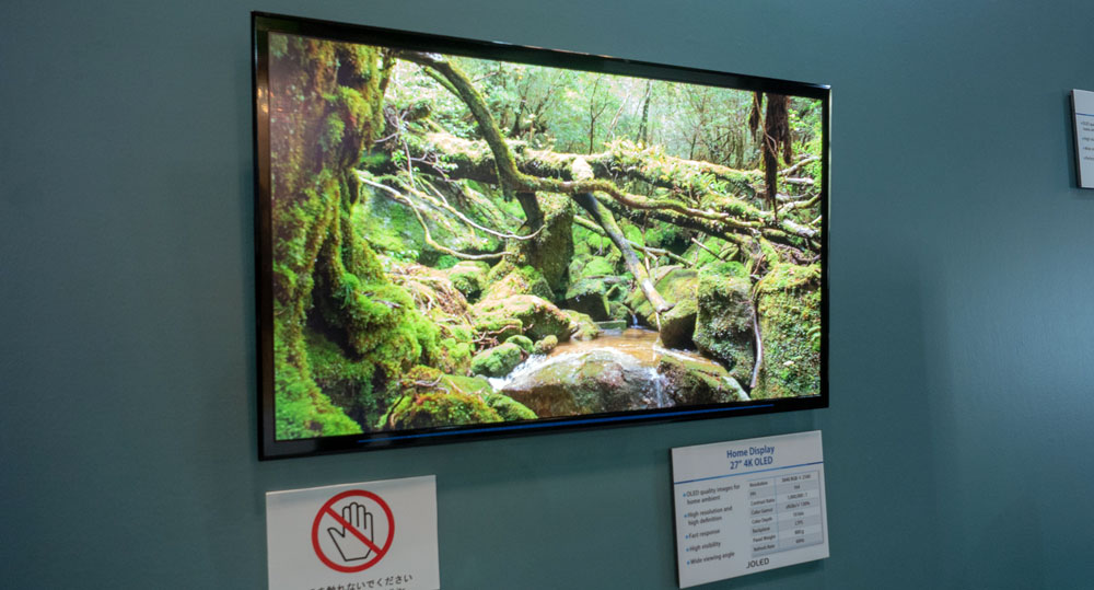 Japan OLED prototype Japan OLED prototype
