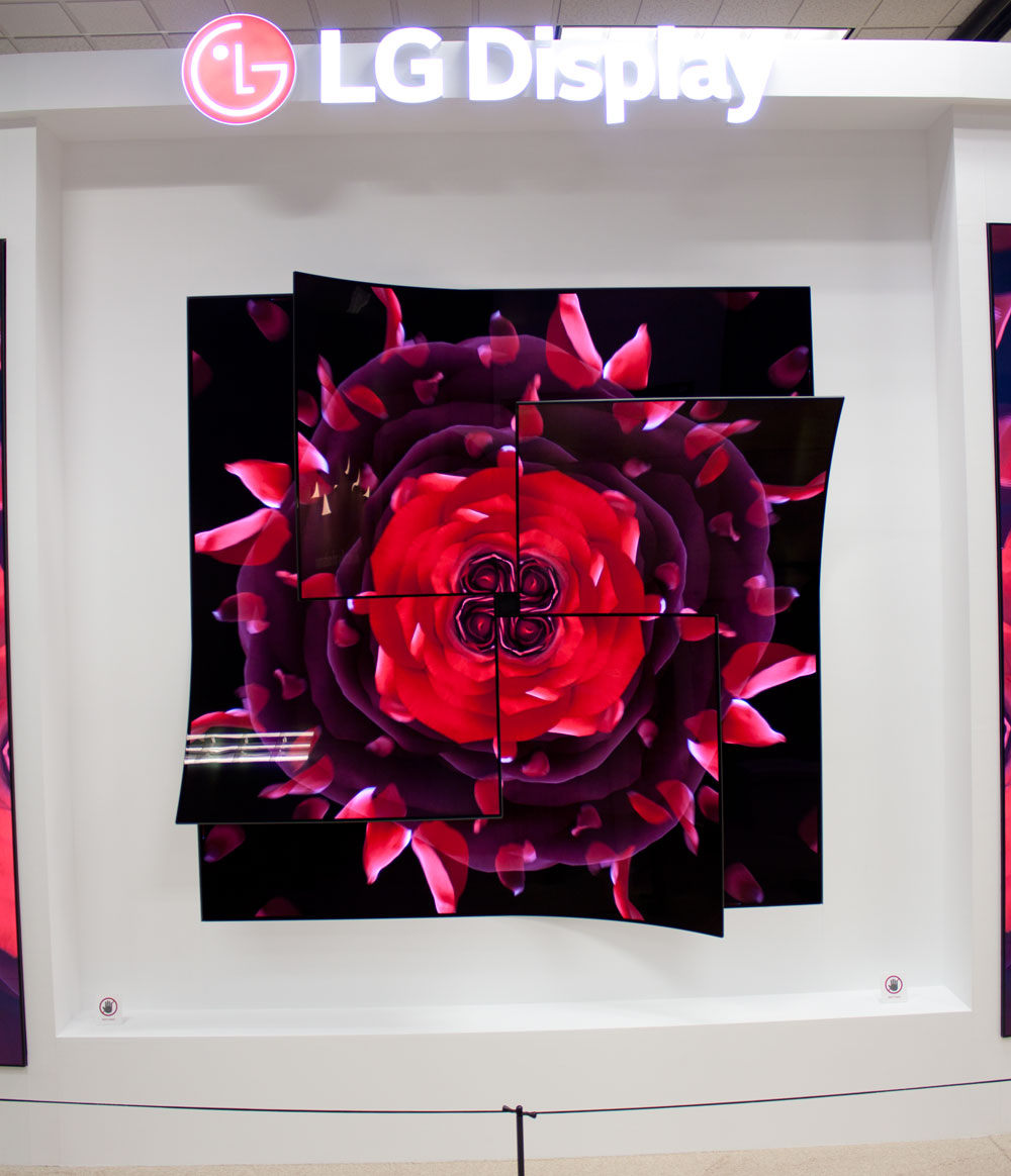 LG Display flower OLED LG Display flower OLED