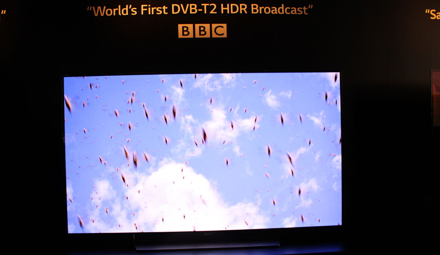 LG HDR demo på IFA 2015 LG HDR demo på IFA 2015