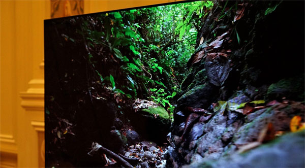 Dell Alienware OLED gaming monitor