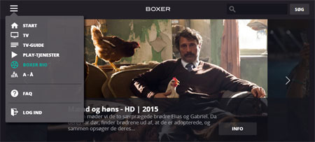 Boxer Play