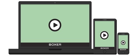 Boxer Play