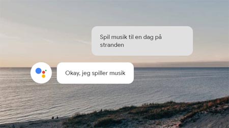 Google Assistant