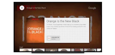 Netflix Android TV
