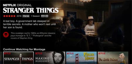 Netflix video preview