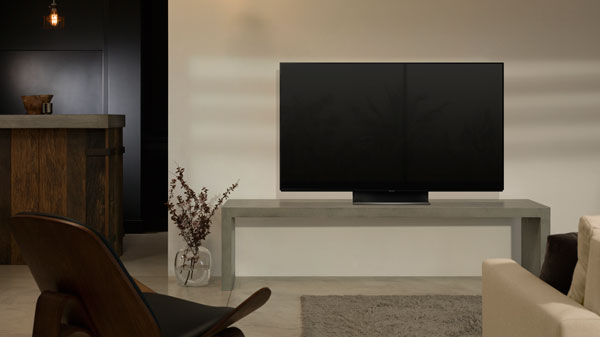 Panasonic GZ1000 OLED