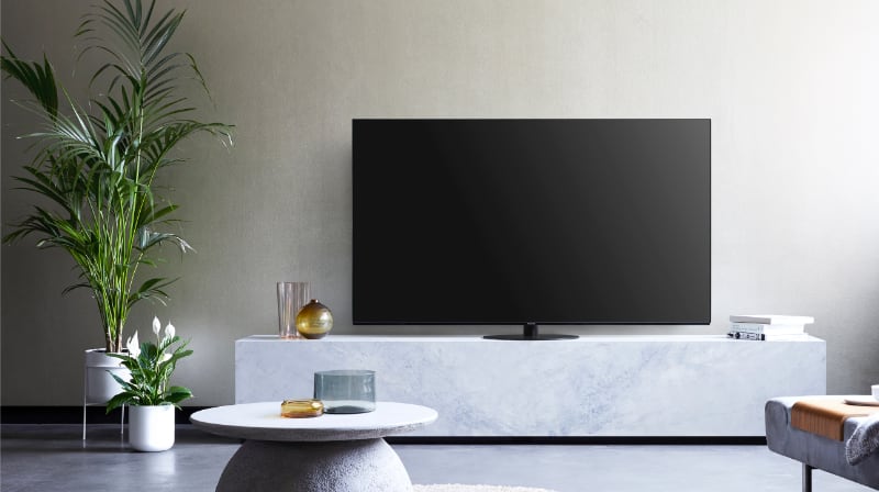 Panasonic HZ1000