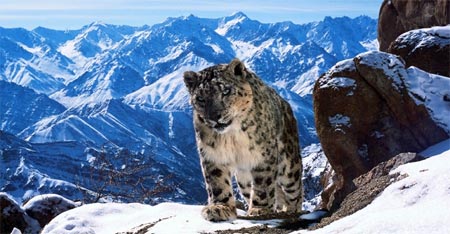 Planet Earth II