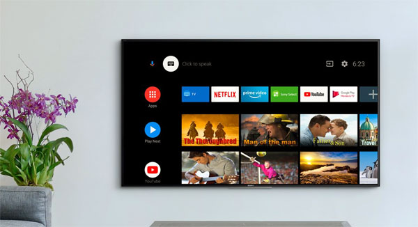 Sony 2019 Android TV