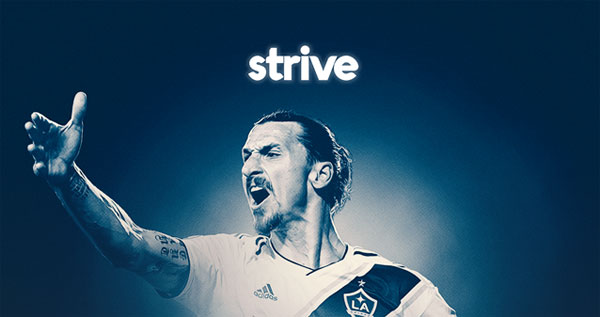 Strive Sport