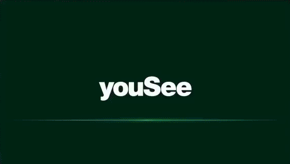 YouSee 2017