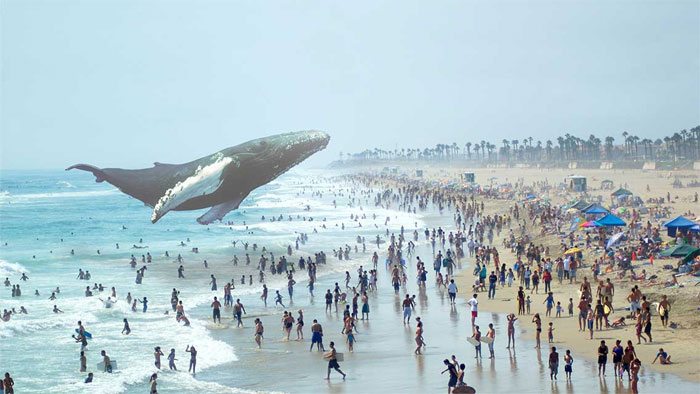 Magic Leap