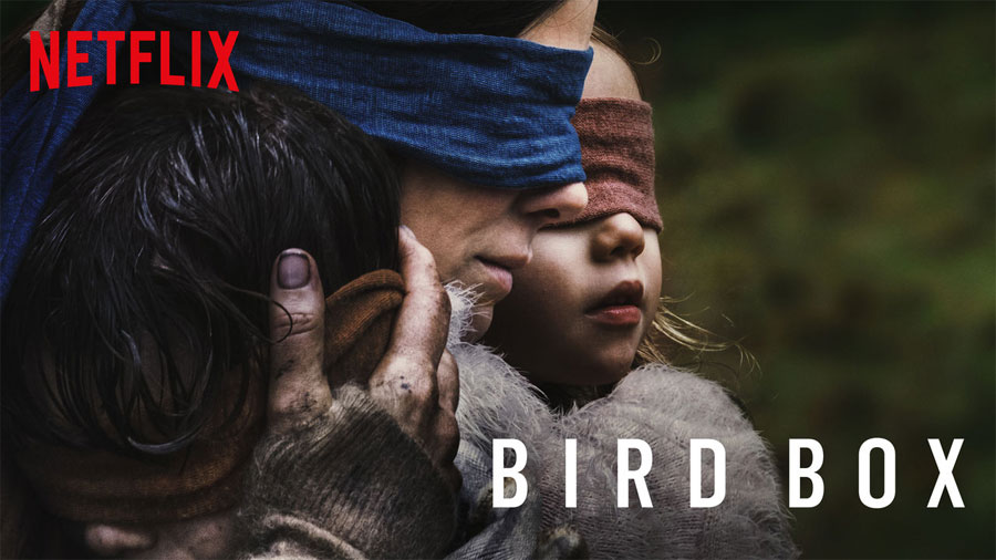  Netflix Bird Box 