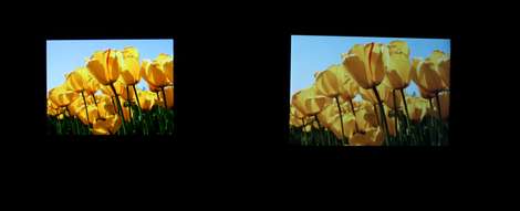 Samsung Wave (OLED) vs. Apple iPhone 3GS (LCD TN)