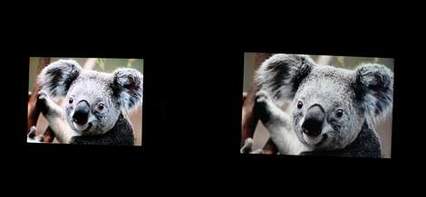 Samsung Wave (OLED) vs. Apple iPhone 3GS (LCD TN)