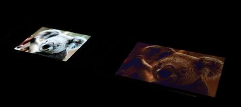 Samsung Wave (OLED) vs. Apple iPhone 3GS (LCD TN)