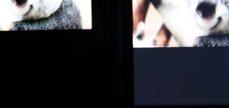 Samsung Wave (OLED) vs. Apple iPhone 3GS (LCD TN)