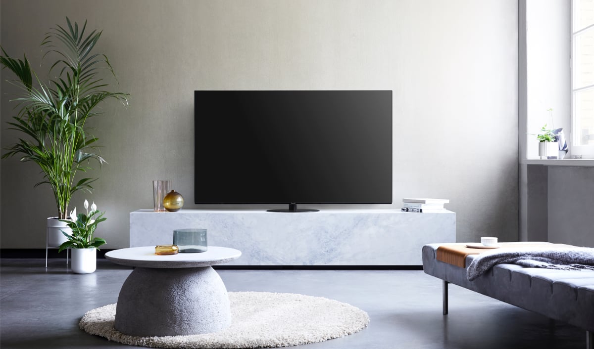 Panasonic HZ1000 Panasonic HZ1000