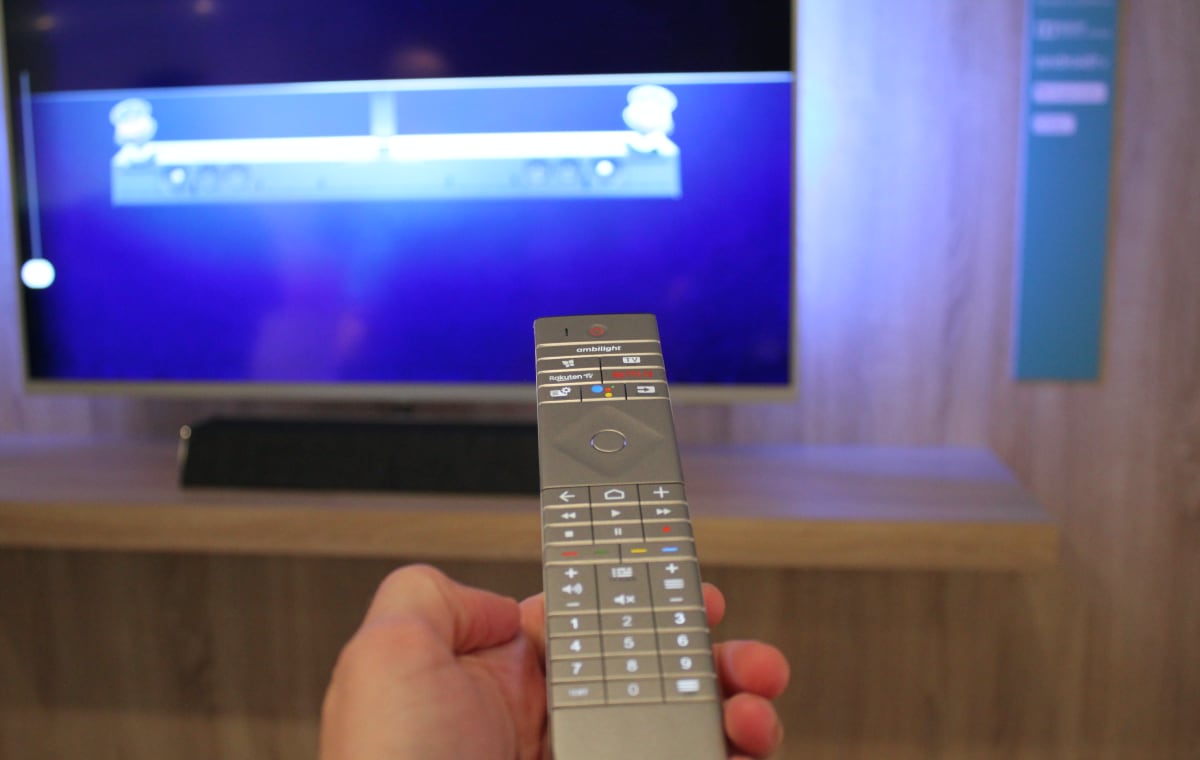 Philips 2020 TV fjernbetjening