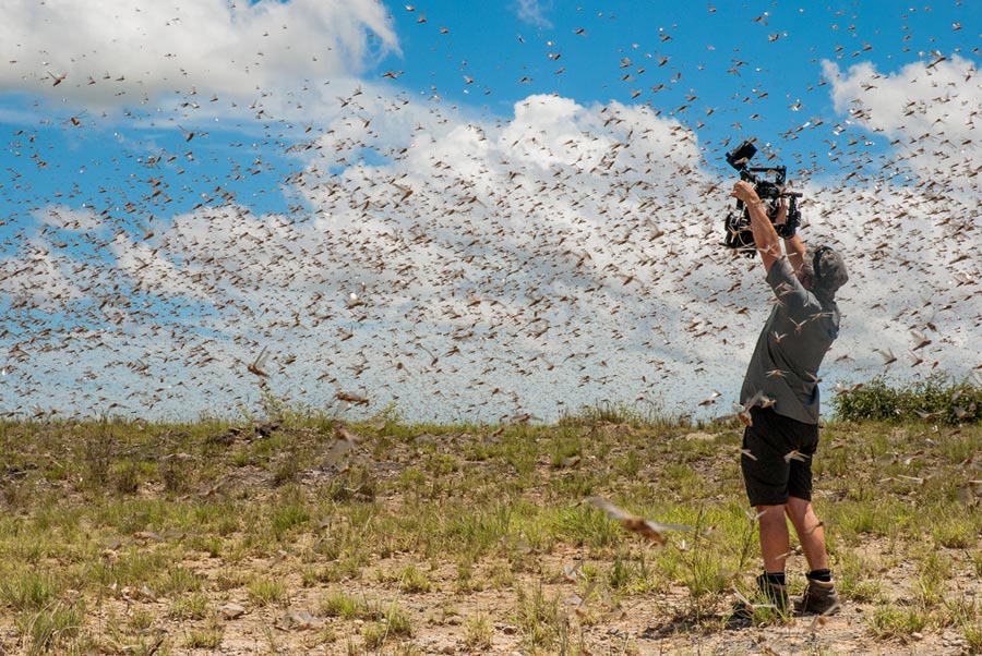 Planet Earth II