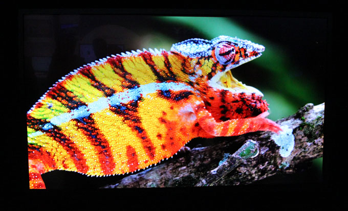 Sony 4K OLED-TV