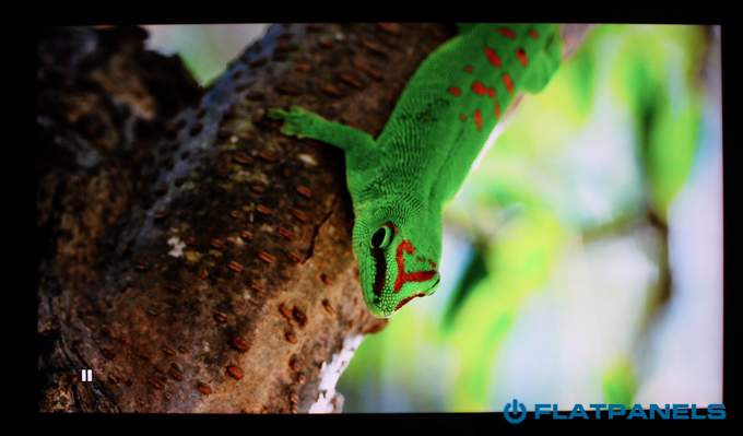Sony W9 test