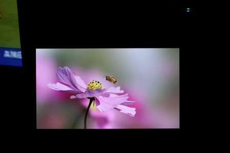 Sony XEL-1