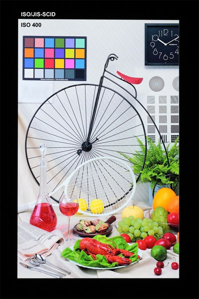 Klik for større billede Toshibas 6.1” 498ppi LCD-panel