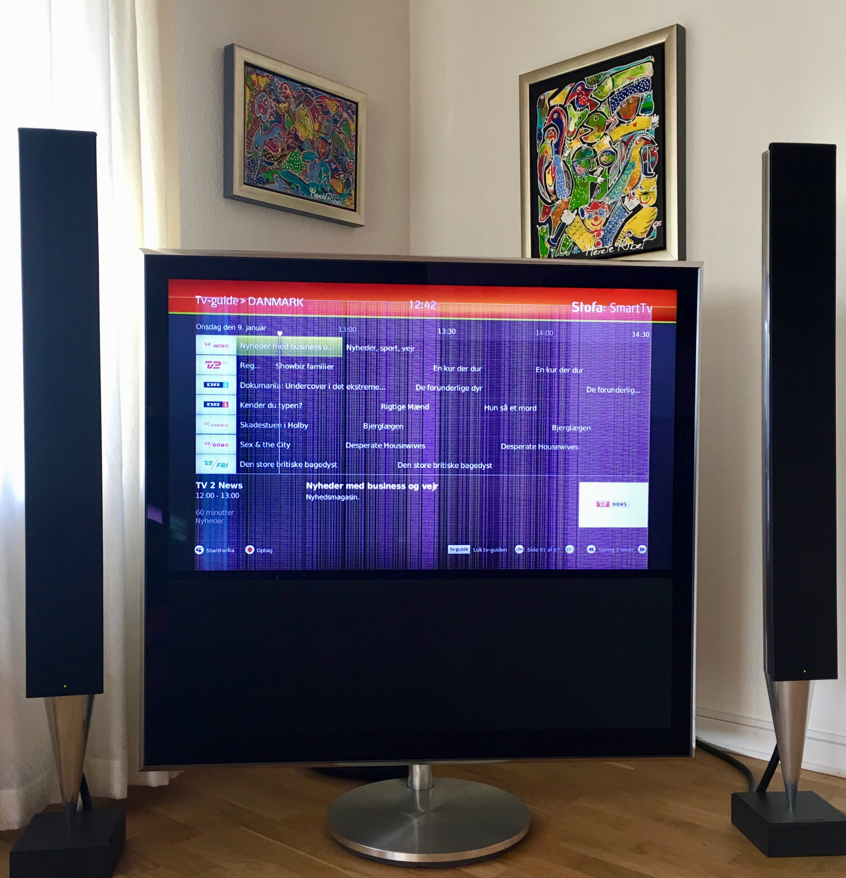 Beovision 10-46 med defekt panel