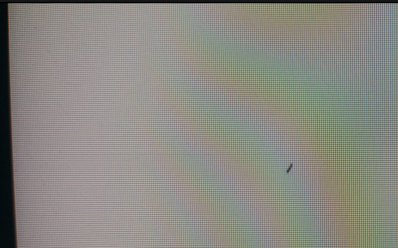 Billede af tordenflue i skærm Asus MG279Q