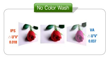 IPS COLOR WASH.jpg