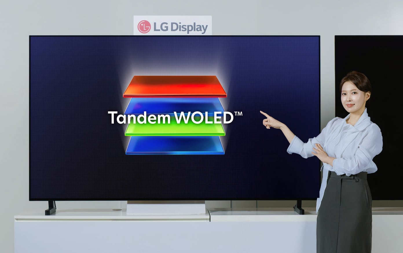 2026 OLED TV panel