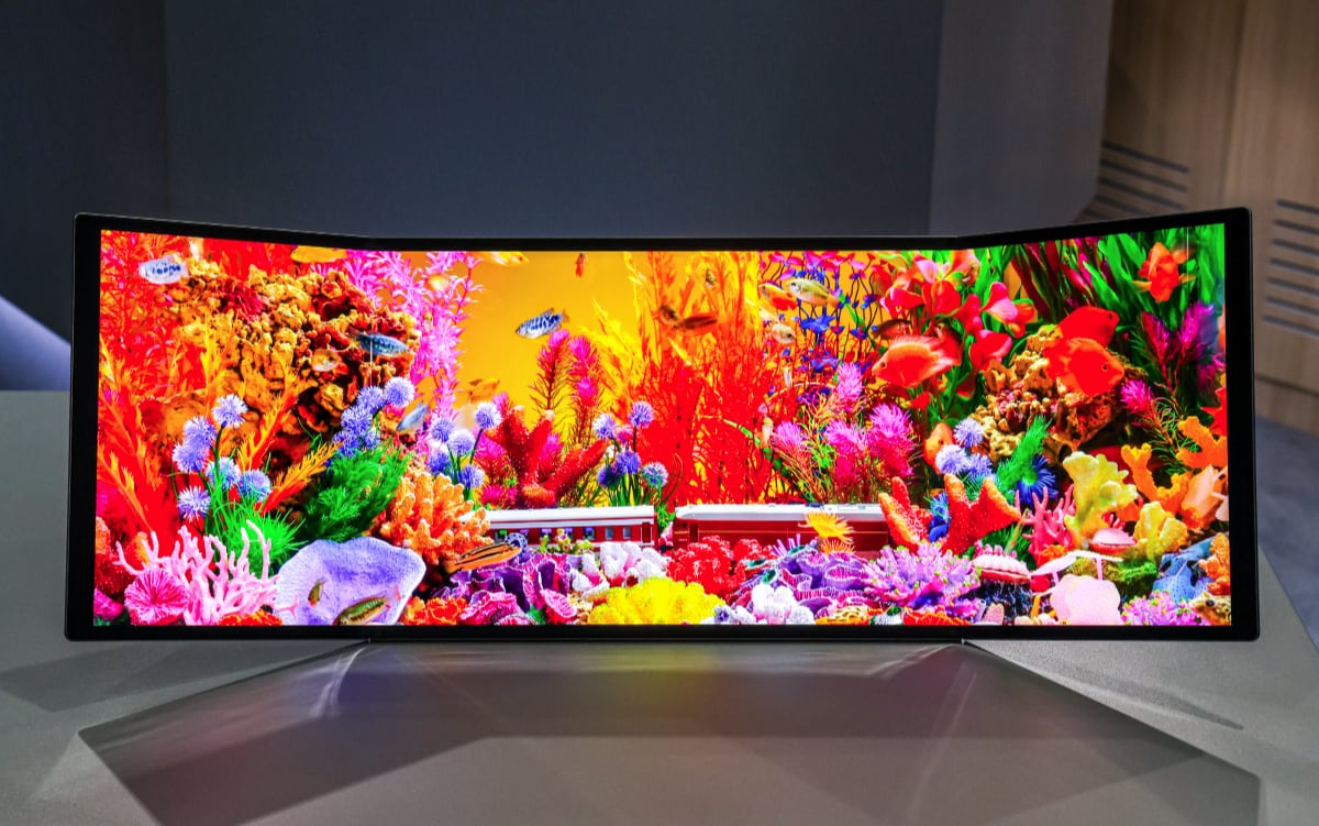 Foldable OLED monitor