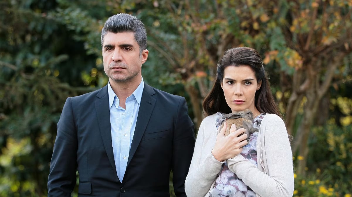 Dizi