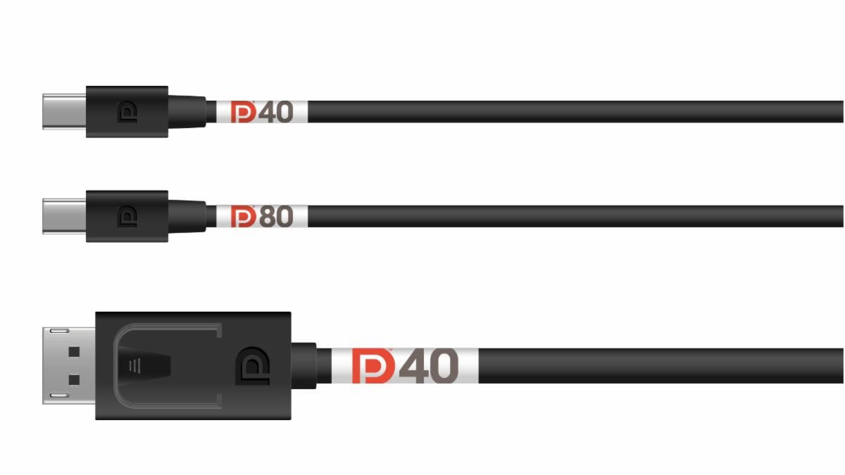 DP80 DP40 DisplayPort DP80 DP40 DisplayPort