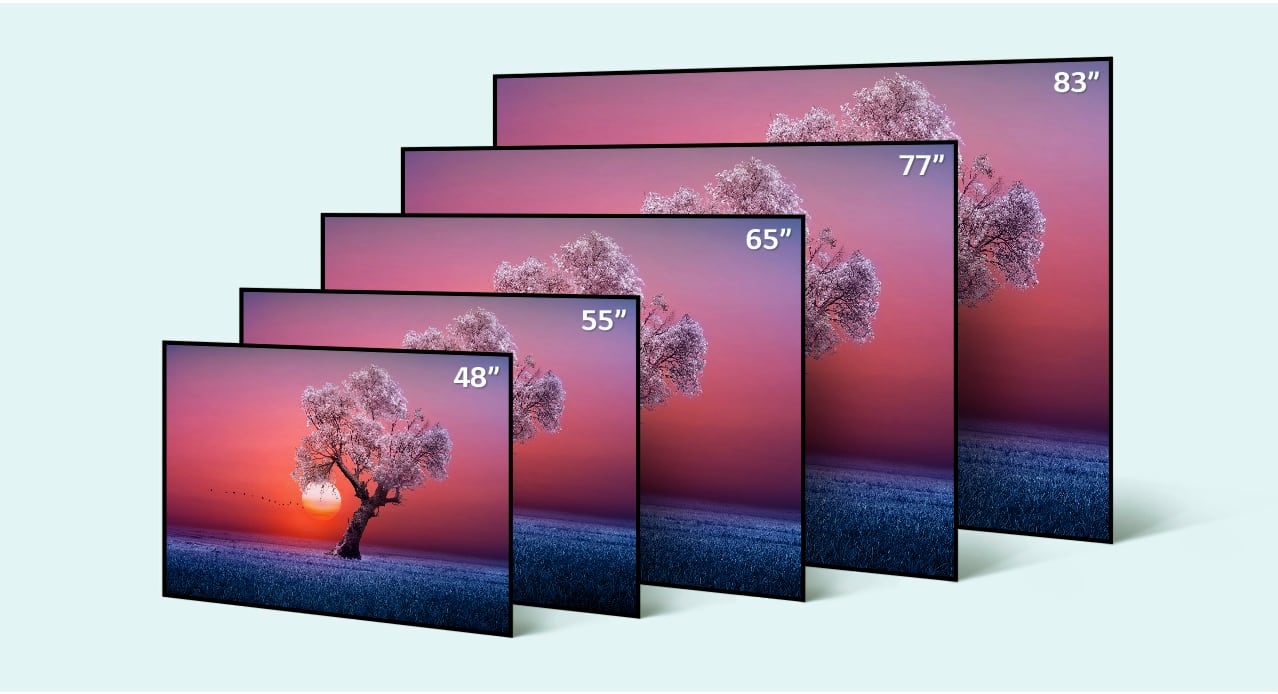 LG 2021 OLED TV