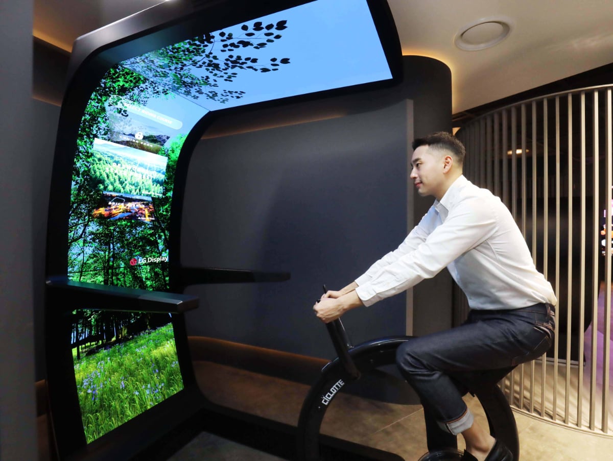 OLED Virtual Ride