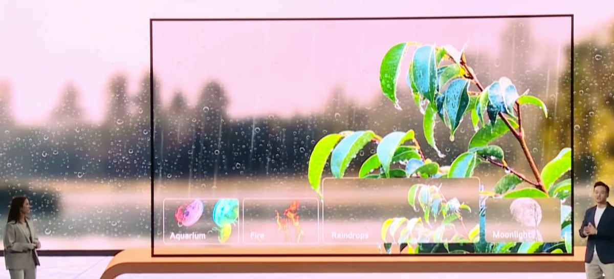 LG transparent OLED T