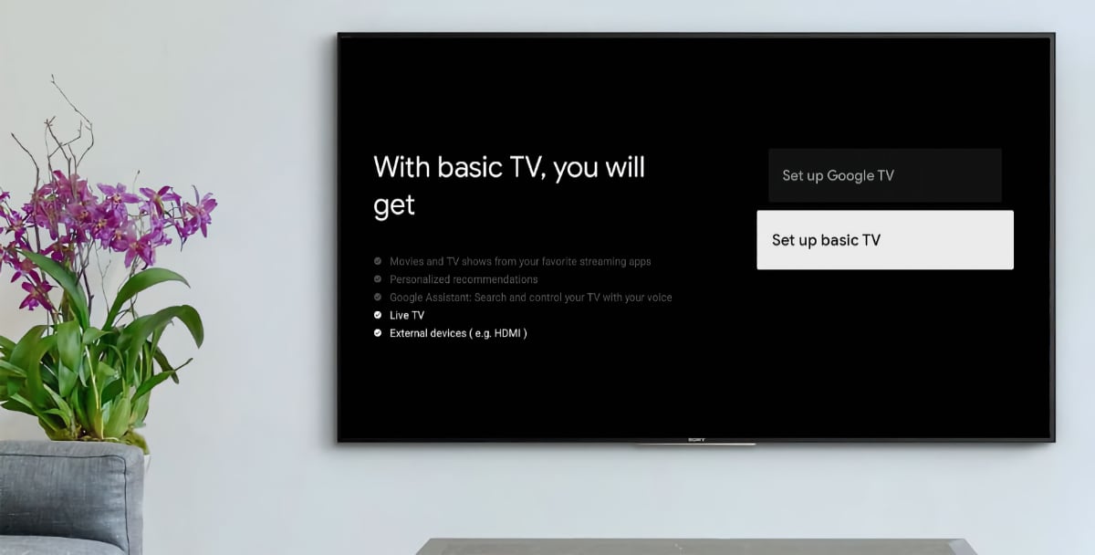 Google TV basic
