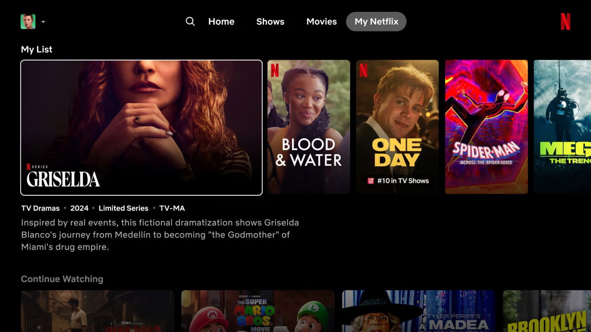 Netflix 2024 redesign