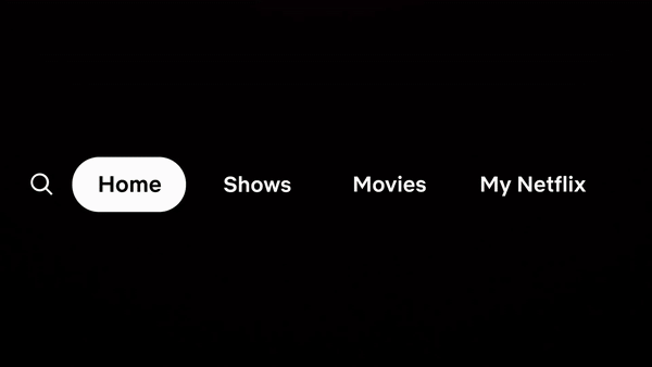 Netflix 2024 app