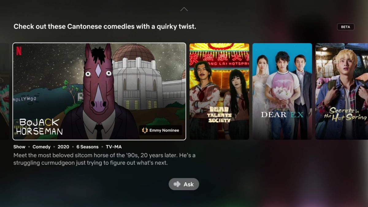 Netflix Ask